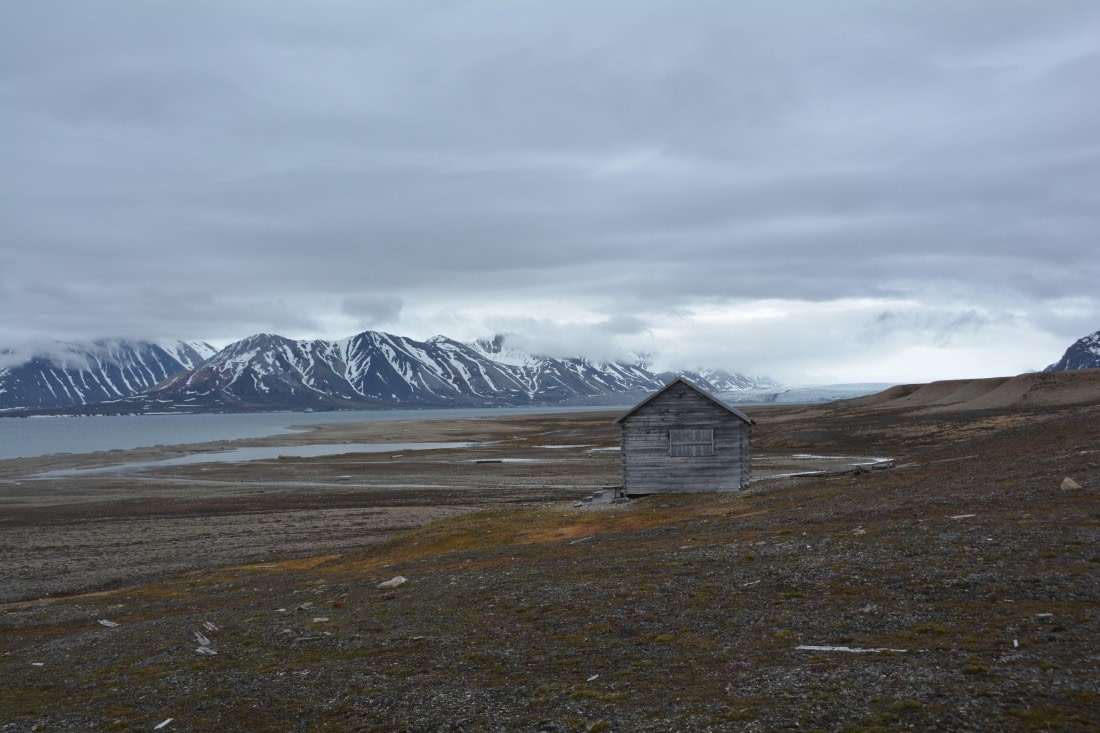 PLA04-24, Day 7, DSC_0671 © Paolo Bellezze - Oceanwide Expeditions.jpg