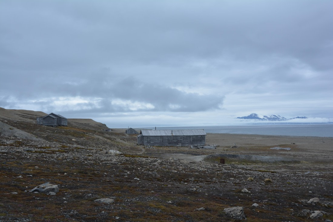 PLA04-24, Day 7, DSC_0672 © Paolo Bellezze - Oceanwide Expeditions.jpg