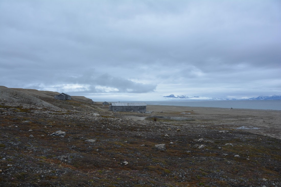PLA04-24, Day 7, DSC_0673 © Paolo Bellezze - Oceanwide Expeditions.jpg