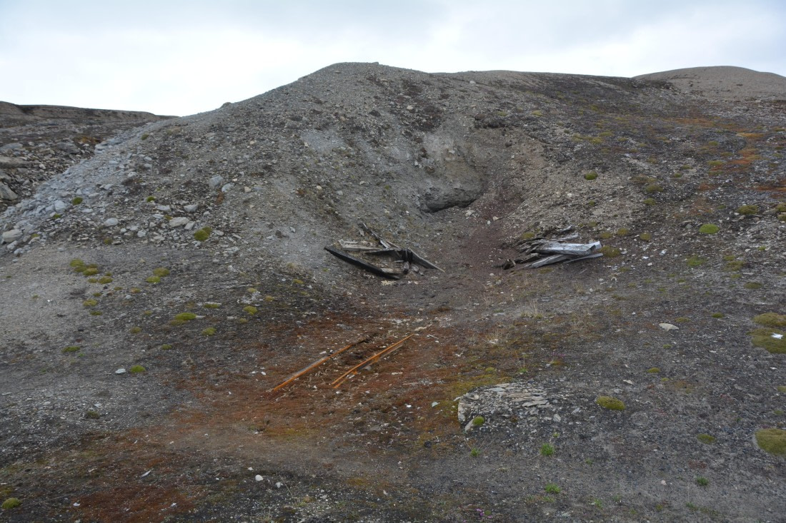 PLA04-24, Day 7, DSC_0674 © Paolo Bellezze - Oceanwide Expeditions.jpg