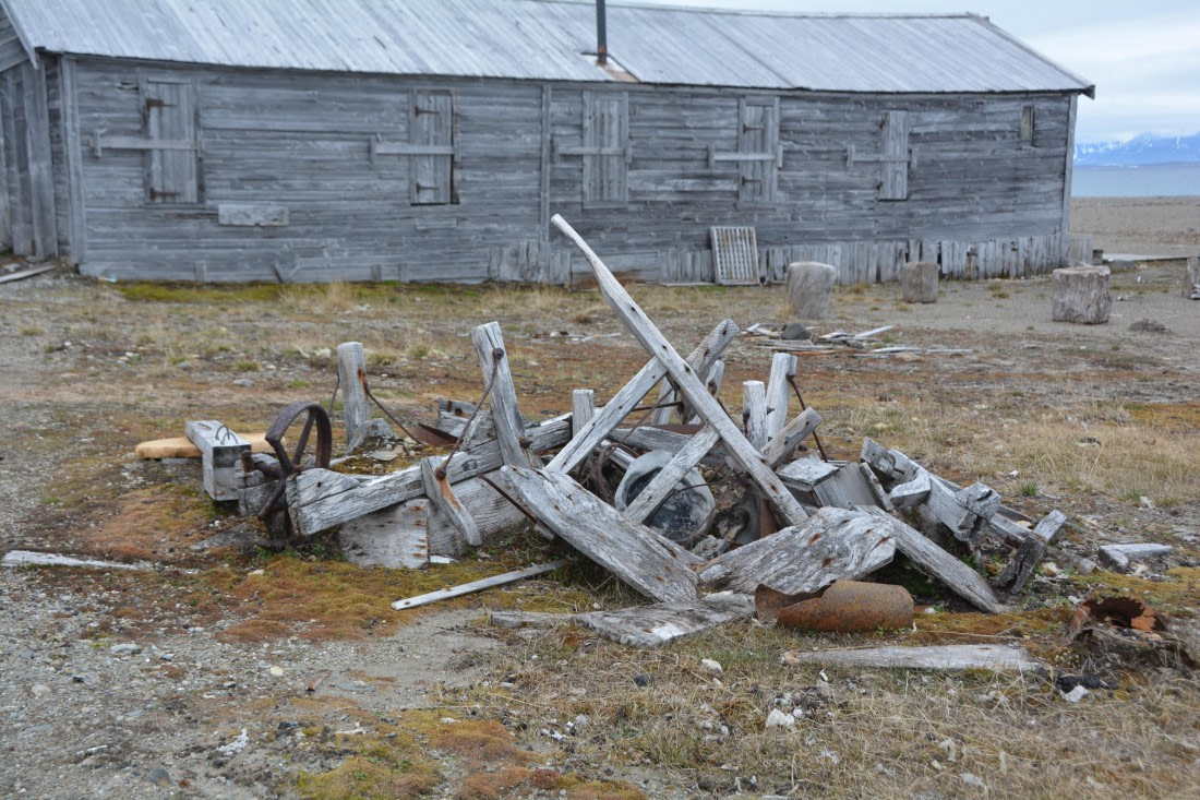 PLA04-24, Day 7, DSC_0676 © Paolo Bellezze - Oceanwide Expeditions.jpg