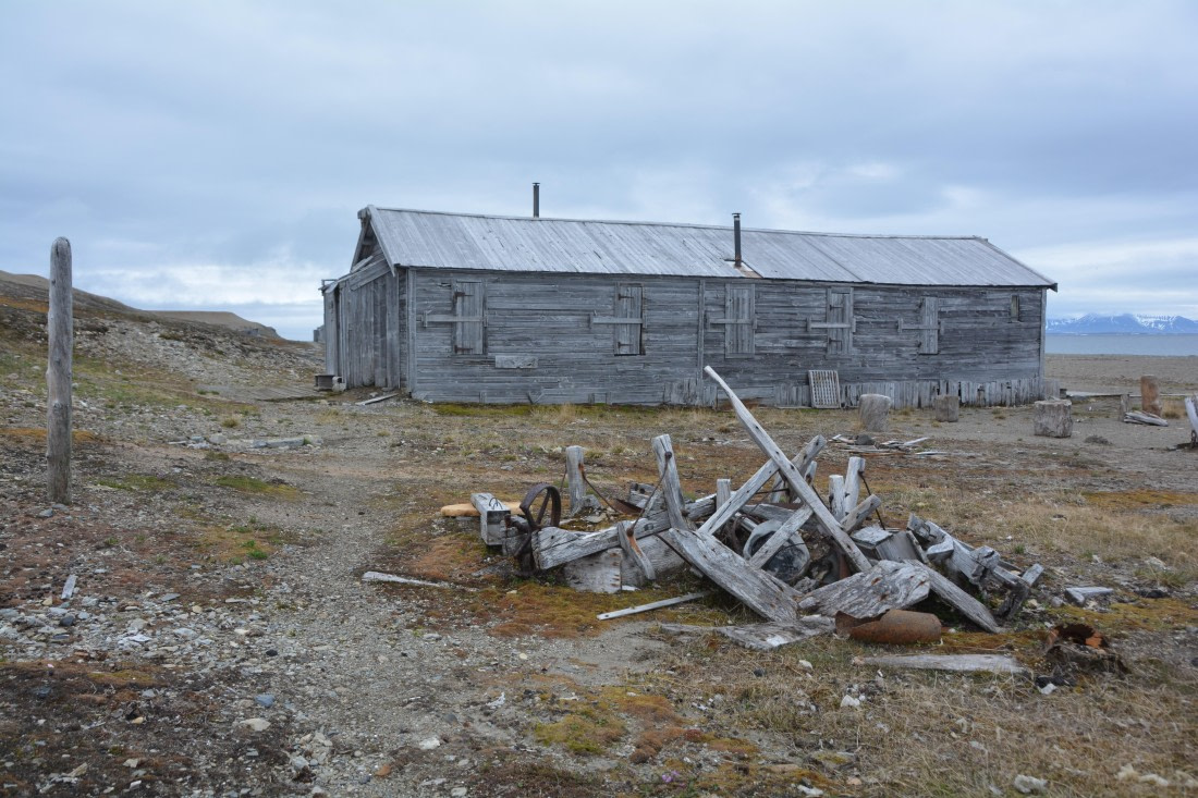 PLA04-24, Day 7, DSC_0677 © Paolo Bellezze - Oceanwide Expeditions.jpg
