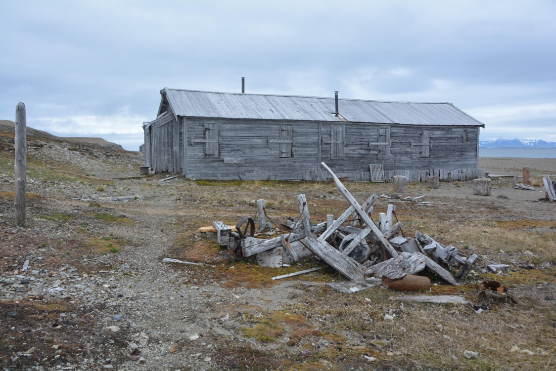 PLA04-24, Day 7, DSC_0678 © Paolo Bellezze - Oceanwide Expeditions.jpg