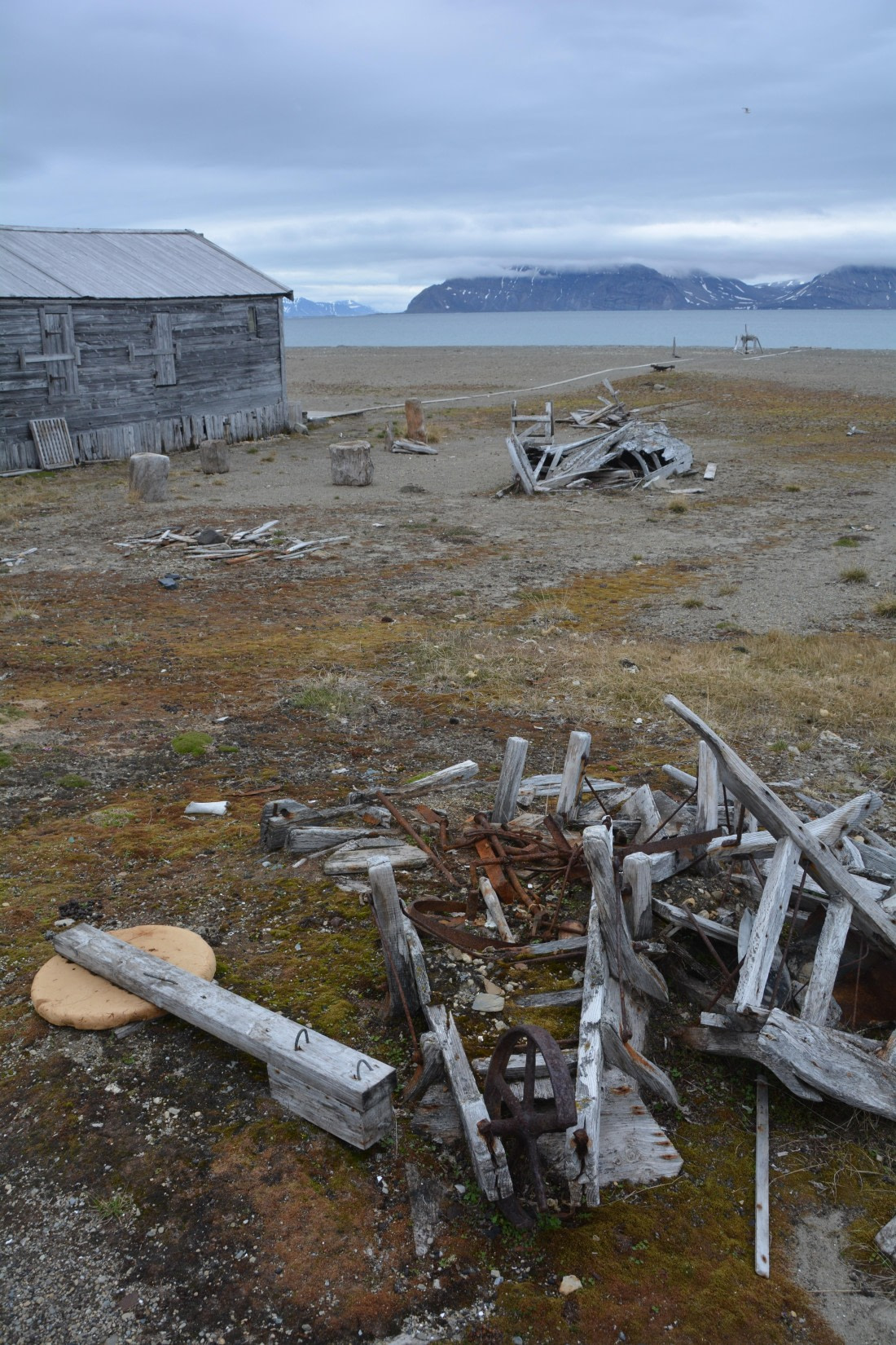 PLA04-24, Day 7, DSC_0679 © Paolo Bellezze - Oceanwide Expeditions.jpg