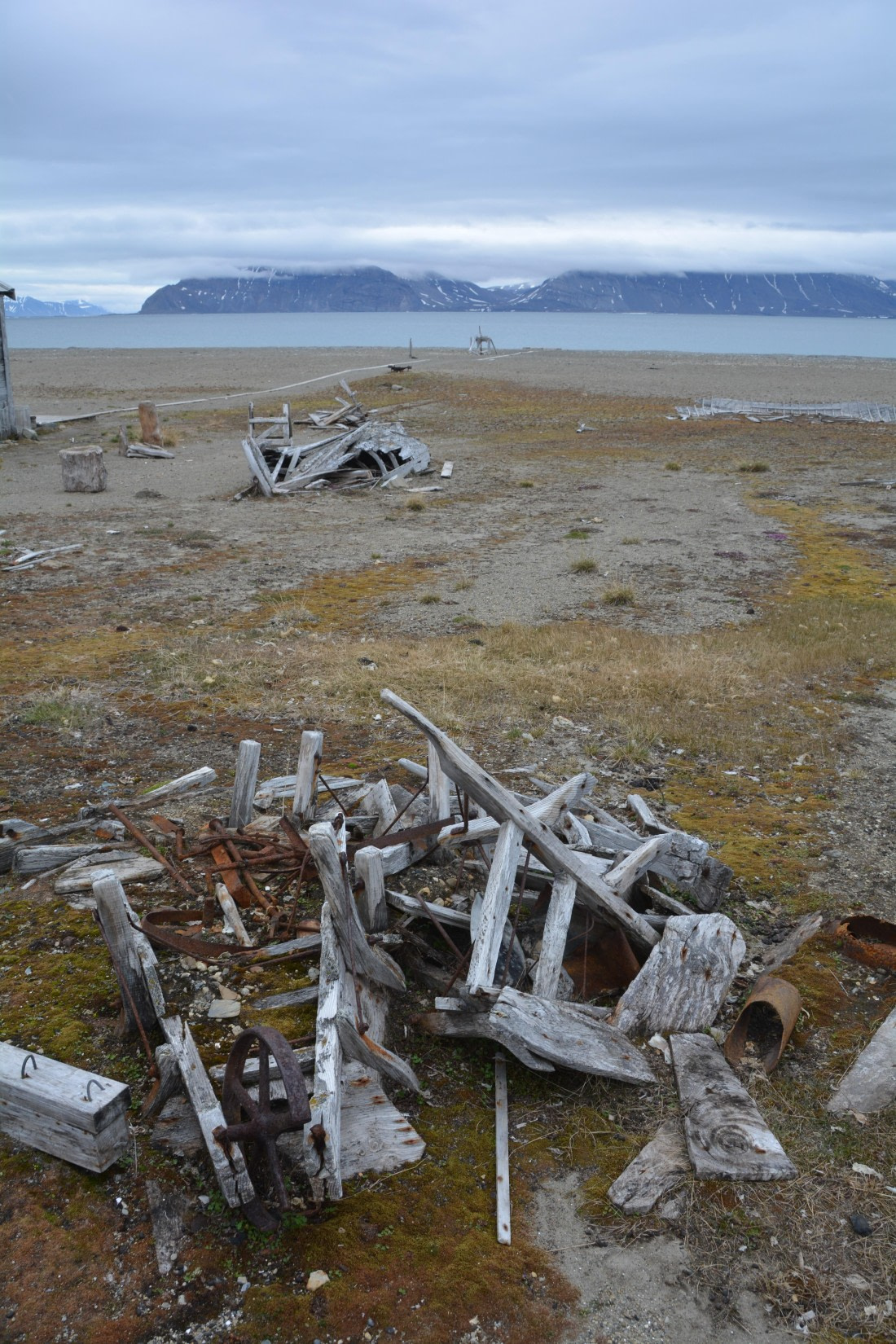 PLA04-24, Day 7, DSC_0680 © Paolo Bellezze - Oceanwide Expeditions.jpg