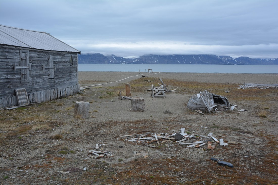 PLA04-24, Day 7, DSC_0681 © Paolo Bellezze - Oceanwide Expeditions.jpg