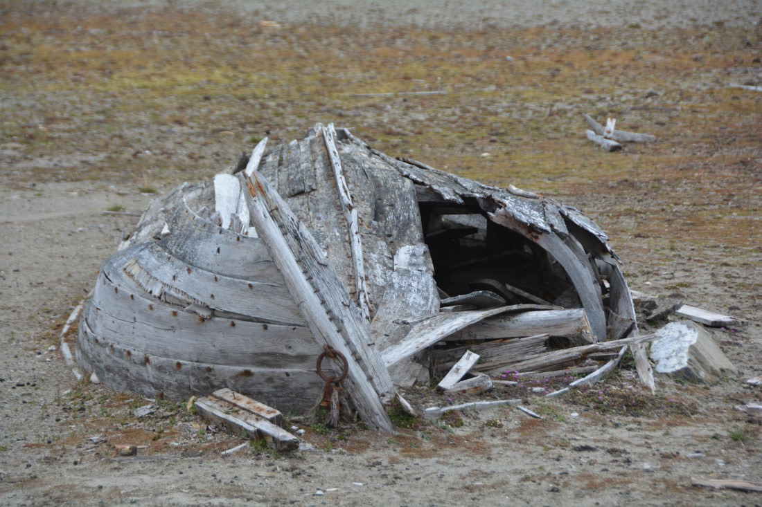 PLA04-24, Day 7, DSC_0682 © Paolo Bellezze - Oceanwide Expeditions.jpg