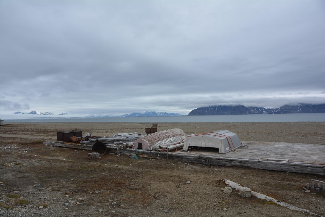 PLA04-24, Day 7, DSC_0688 © Paolo Bellezze - Oceanwide Expeditions.jpg