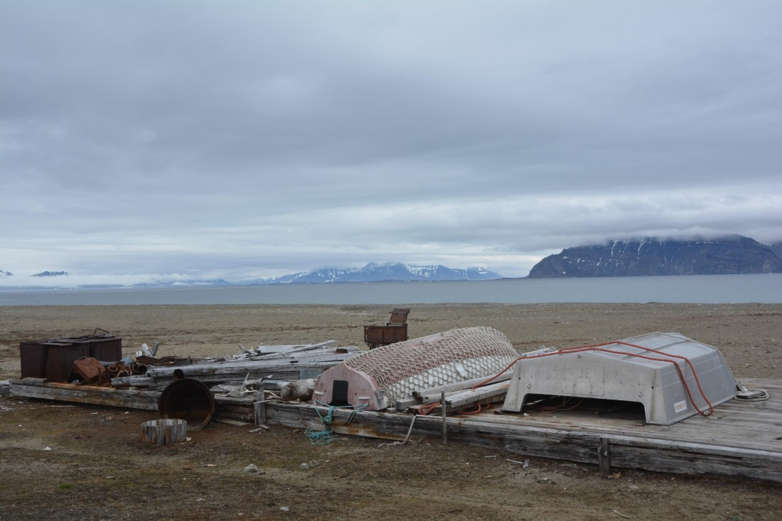 PLA04-24, Day 7, DSC_0689 © Paolo Bellezze - Oceanwide Expeditions.jpg
