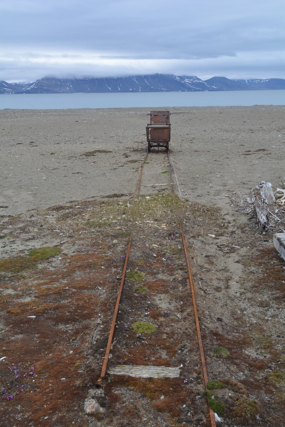 PLA04-24, Day 7, DSC_0690 © Paolo Bellezze - Oceanwide Expeditions.jpg