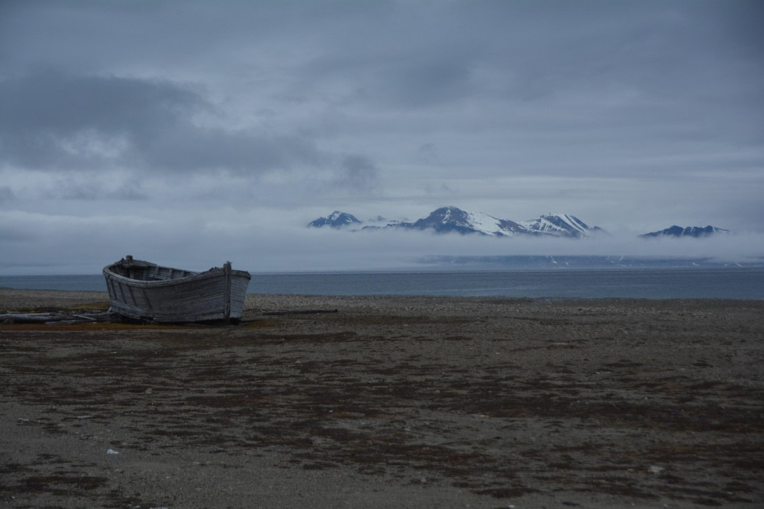 PLA04-24, Day 7, DSC_0695 © Paolo Bellezze - Oceanwide Expeditions.jpg