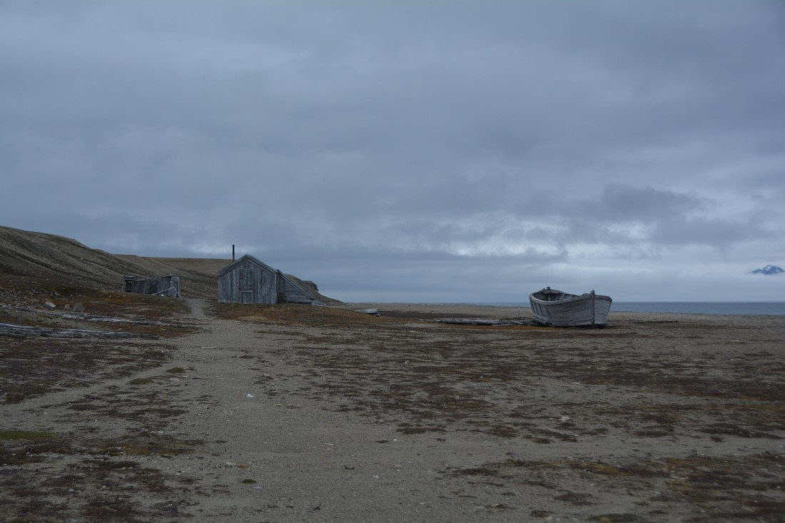 PLA04-24, Day 7, DSC_0698 © Paolo Bellezze - Oceanwide Expeditions.jpg