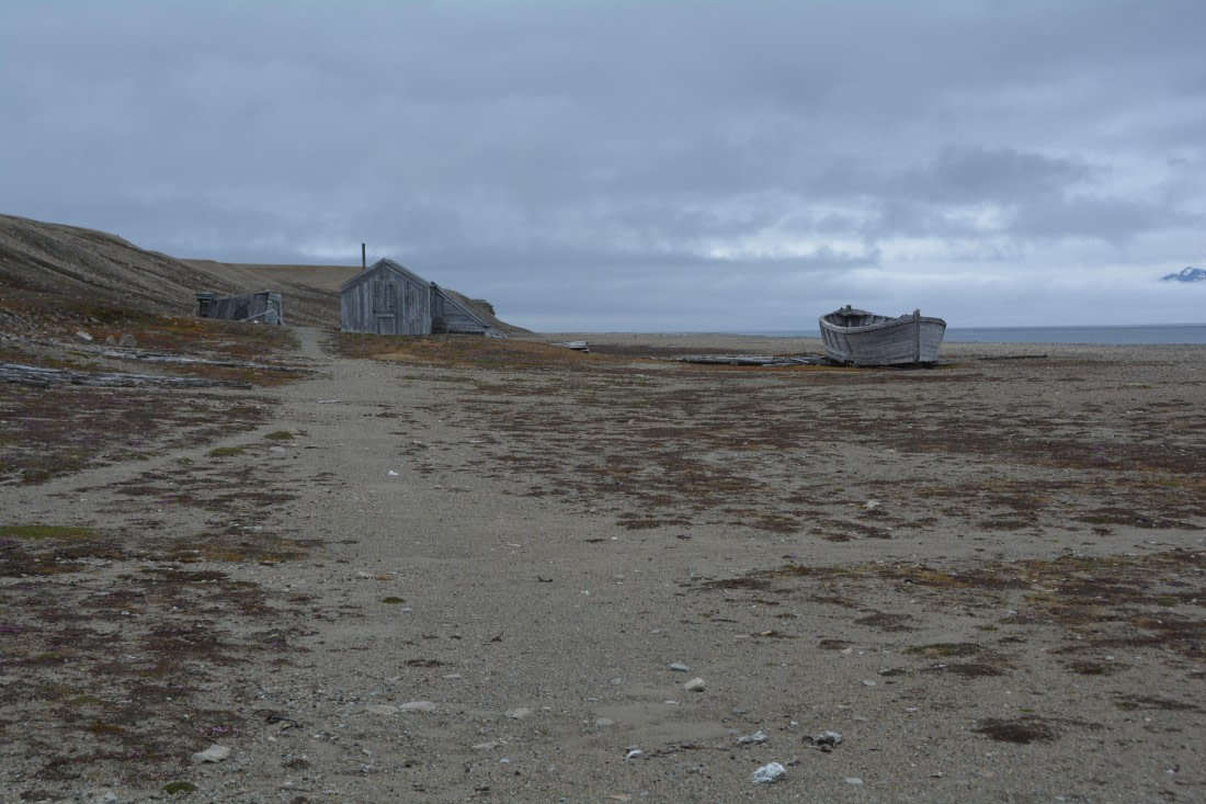 PLA04-24, Day 7, DSC_0700 © Paolo Bellezze - Oceanwide Expeditions.jpg