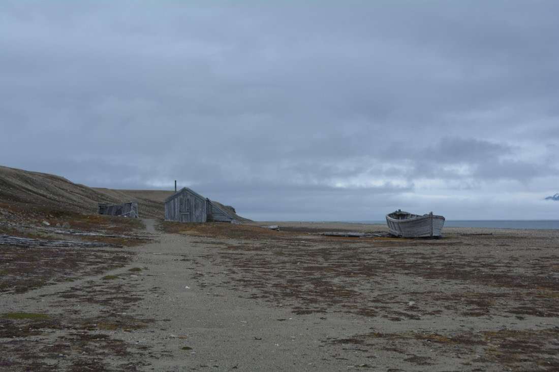 PLA04-24, Day 7, DSC_0701 © Paolo Bellezze - Oceanwide Expeditions.jpg