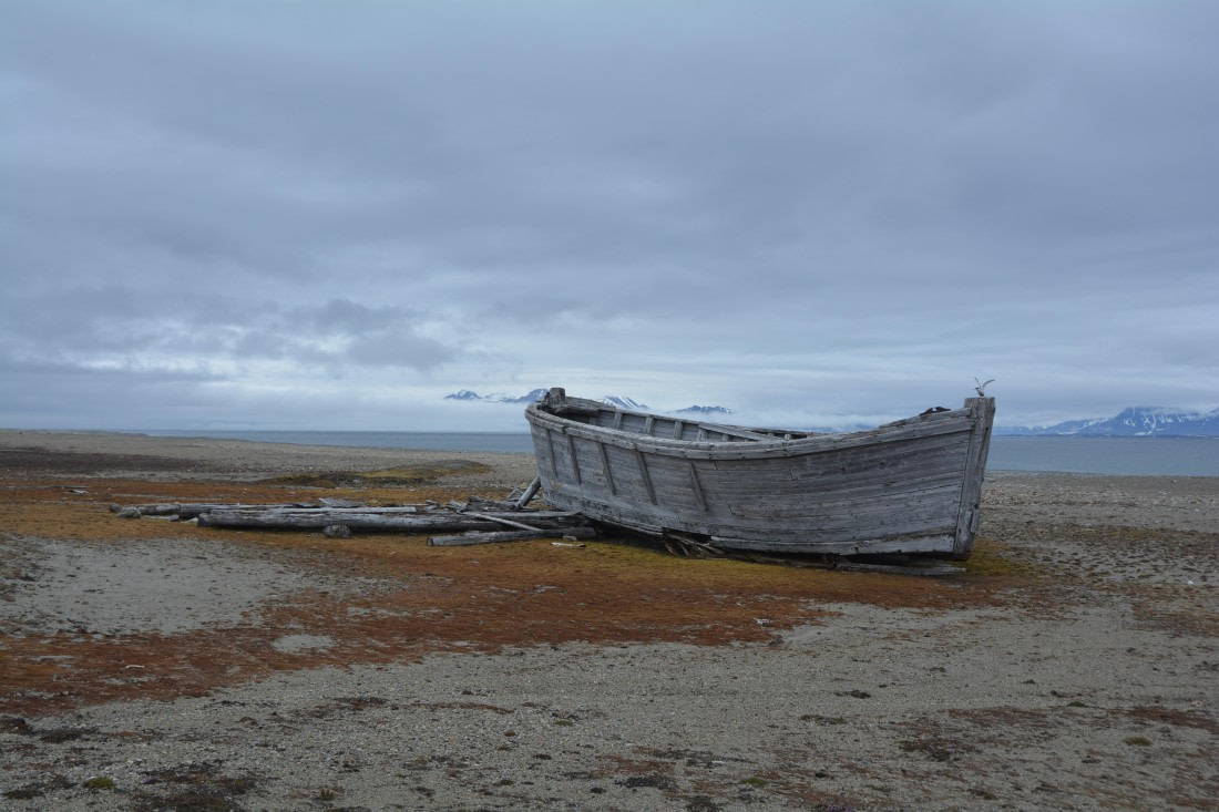 PLA04-24, Day 7, DSC_0703 © Paolo Bellezze - Oceanwide Expeditions.jpg