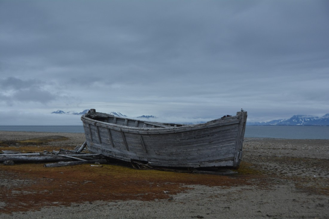 PLA04-24, Day 7, DSC_0704 © Paolo Bellezze - Oceanwide Expeditions.jpg