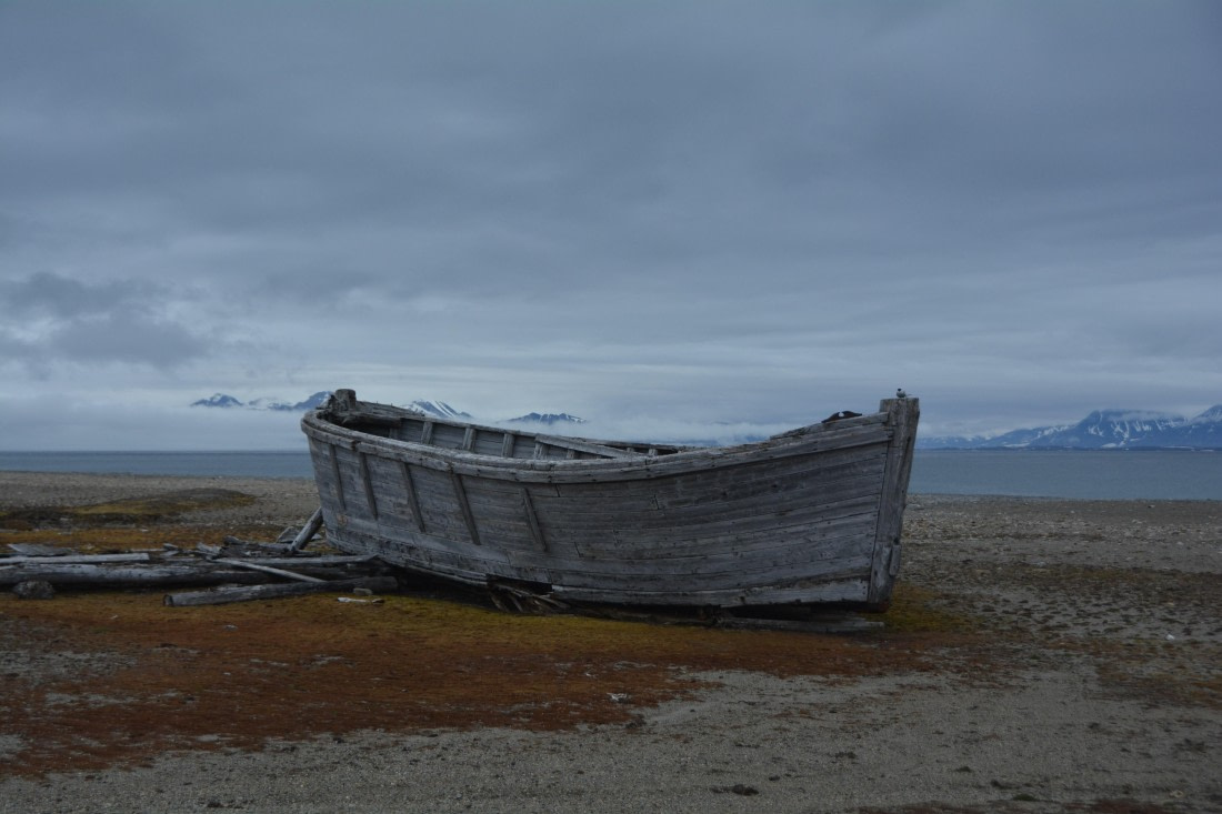 PLA04-24, Day 7, DSC_0705 © Paolo Bellezze - Oceanwide Expeditions.jpg