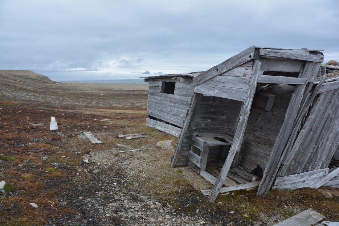 PLA04-24, Day 7, DSC_0712 © Paolo Bellezze - Oceanwide Expeditions.jpg