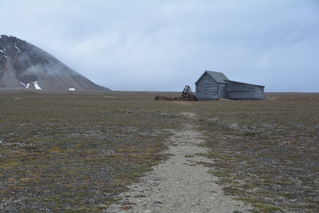PLA04-24, Day 7, DSC_0713 © Paolo Bellezze - Oceanwide Expeditions.jpg