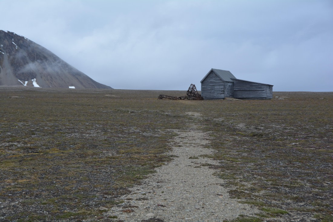 PLA04-24, Day 7, DSC_0714 © Paolo Bellezze - Oceanwide Expeditions.jpg