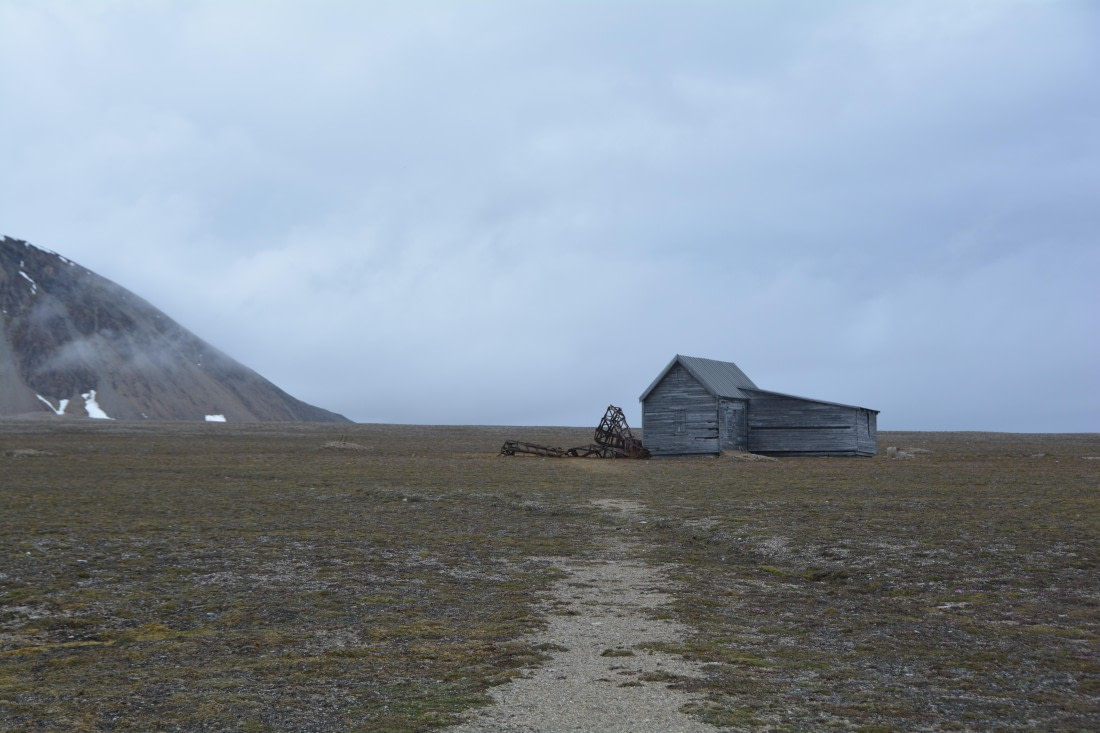 PLA04-24, Day 7, DSC_0715 © Paolo Bellezze - Oceanwide Expeditions.jpg