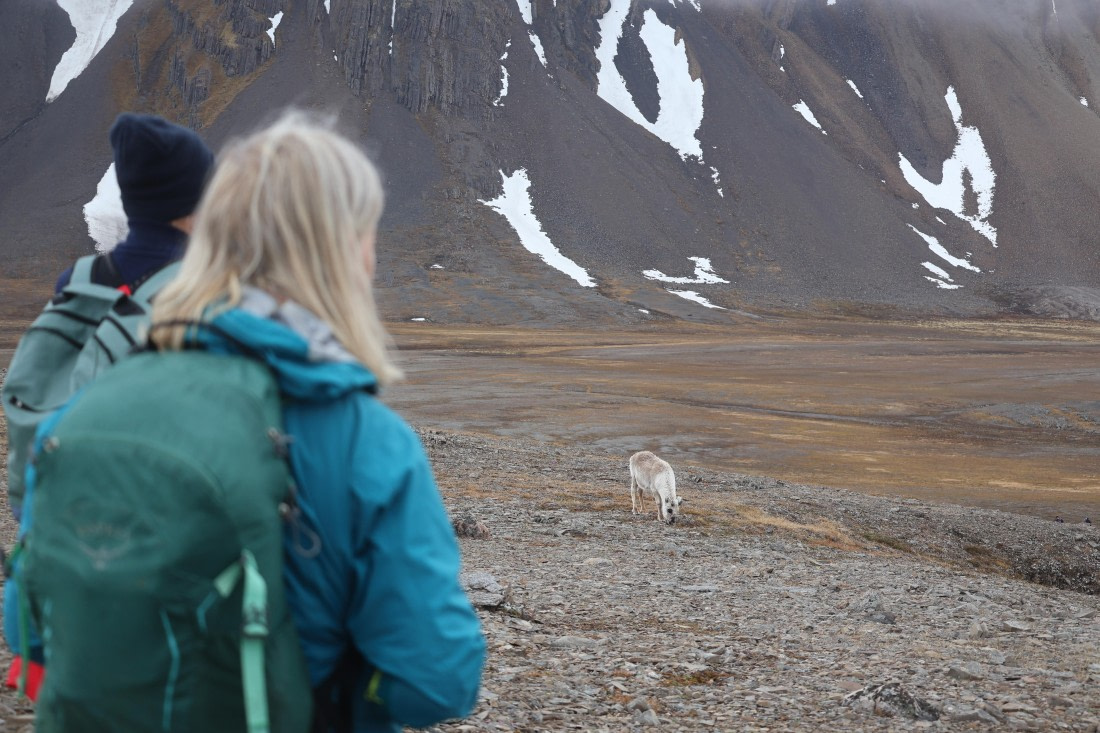 PLA04-24, Day 7, IMG_8929 © Beth Hitchcock - Oceanwide Expeditions.JPG