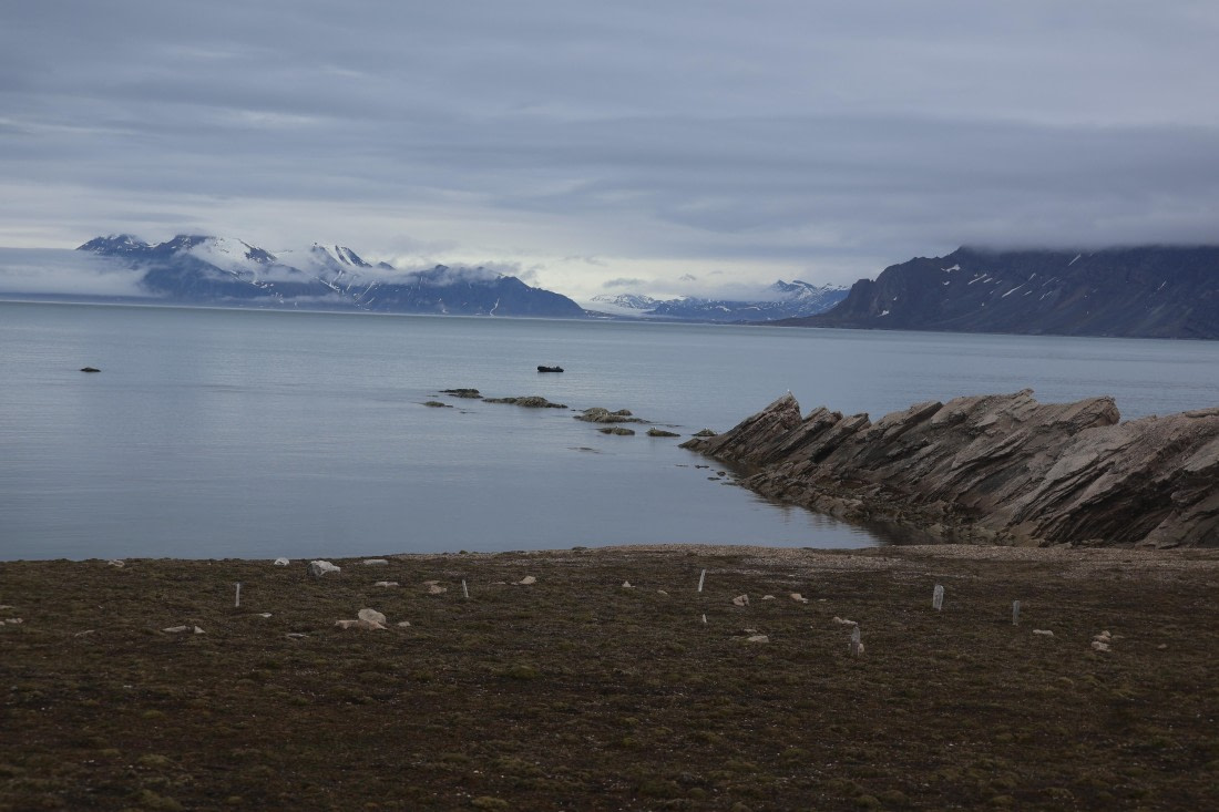 PLA04-24, Day 7, IMG_8950 © Beth Hitchcock - Oceanwide Expeditions.JPG