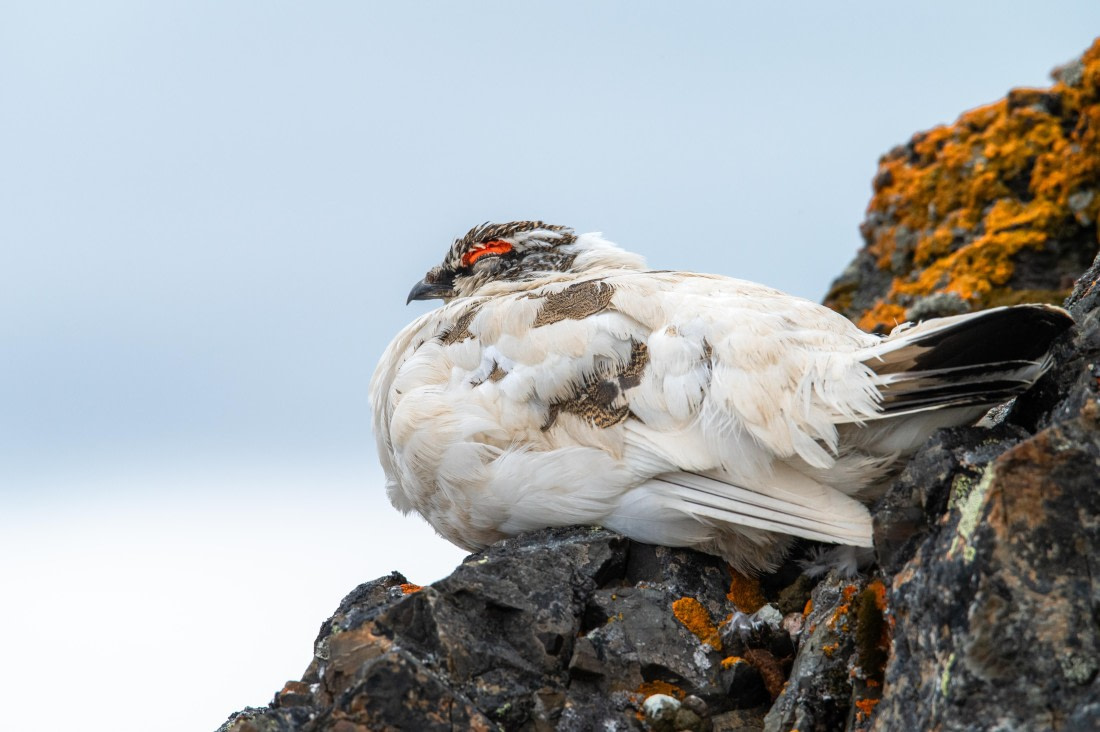 OTL04-24, Day 3, 002145 © Unknown Photographer - Oceanwide Expeditions.JPG