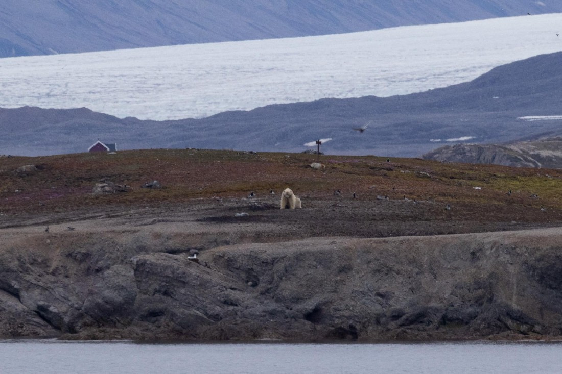 HDS05-24, Day 2, 4Q9A8081 © Katlyn Taylor - Oceanwide Expeditions.jpeg