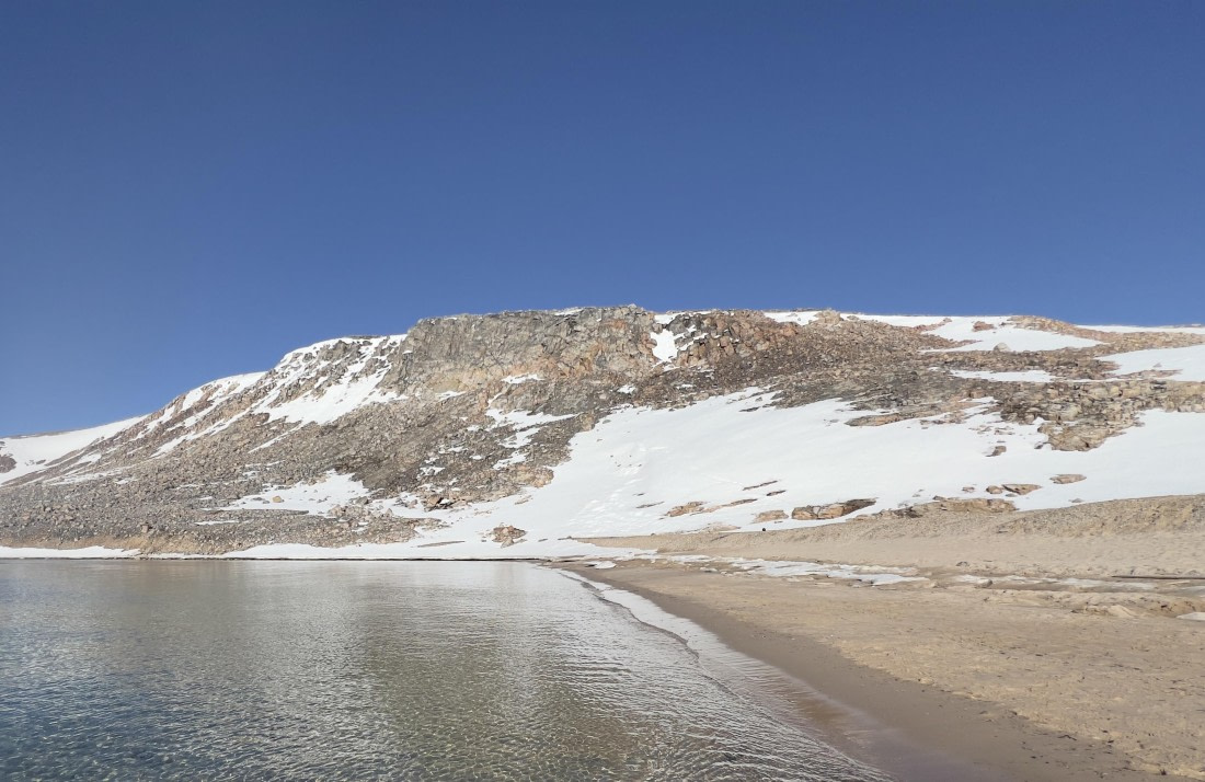 PLA05-24, Day 3, IMG_5049 © Unknown photographer - Oceanwide Expeditions.jpg