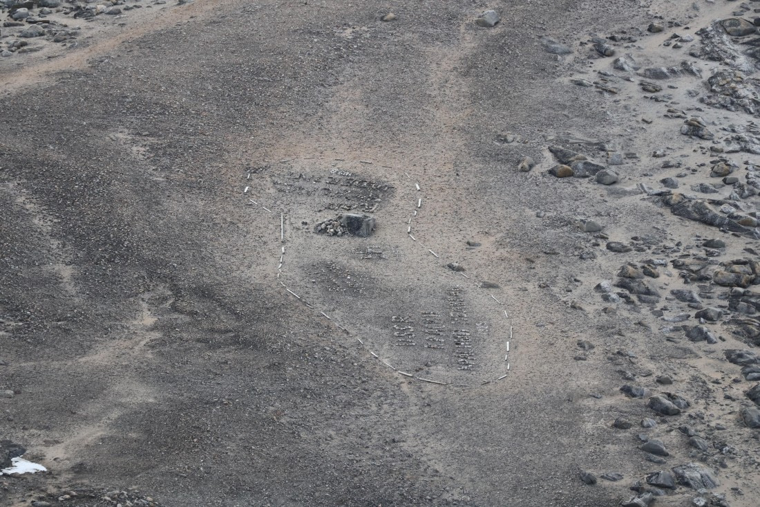 PLA05-24, Day 3, IMG_8970 © Unknown photographer - Oceanwide Expeditions.JPG