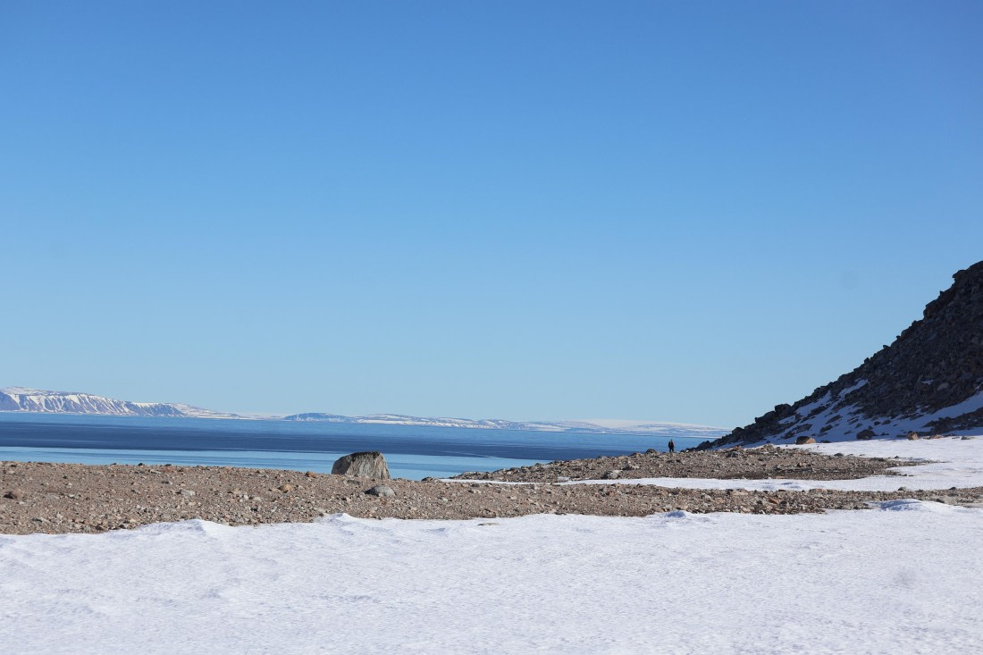 PLA05-24, Day 3, IMG_8977 © Unknown photographer - Oceanwide Expeditions.JPG