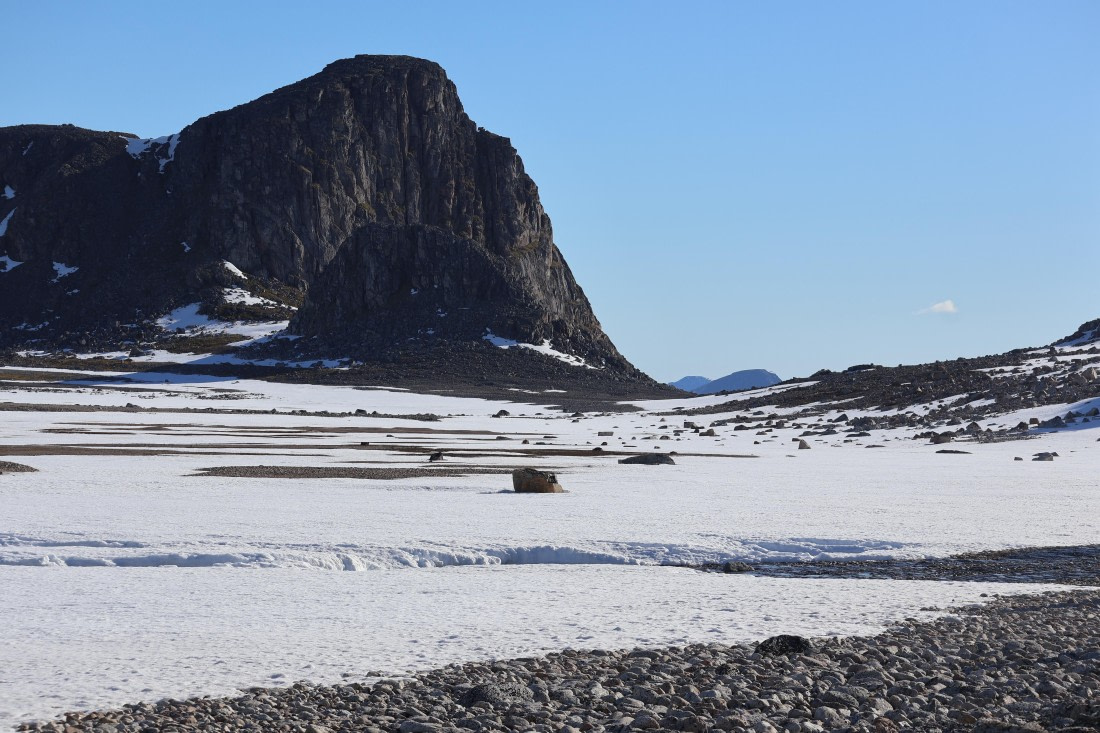 PLA05-24, Day 3, IMG_8983 © Unknown photographer - Oceanwide Expeditions.JPG