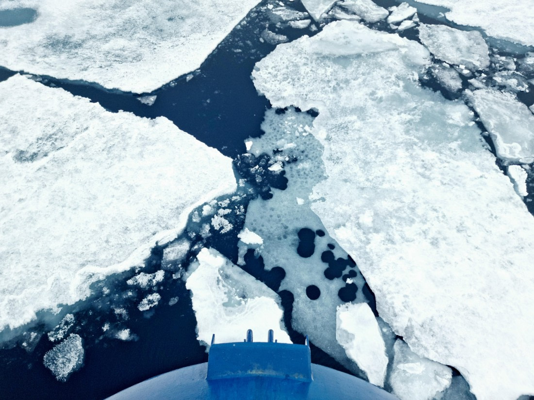 PLA05-24, Day 4, 20240630_175114 © Unknown photographer - Oceanwide Expeditions.jpg