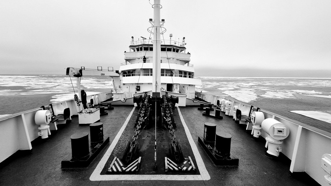 PLA05-24, Day 4, 20240630_175329 © Unknown photographer - Oceanwide Expeditions.jpg