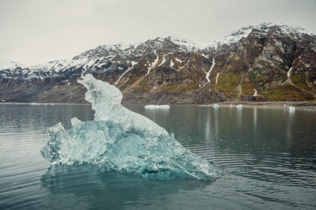 OTL05-24, Day 7, Picture19 © Unknown photographer - Oceanwide Expeditions.jpg