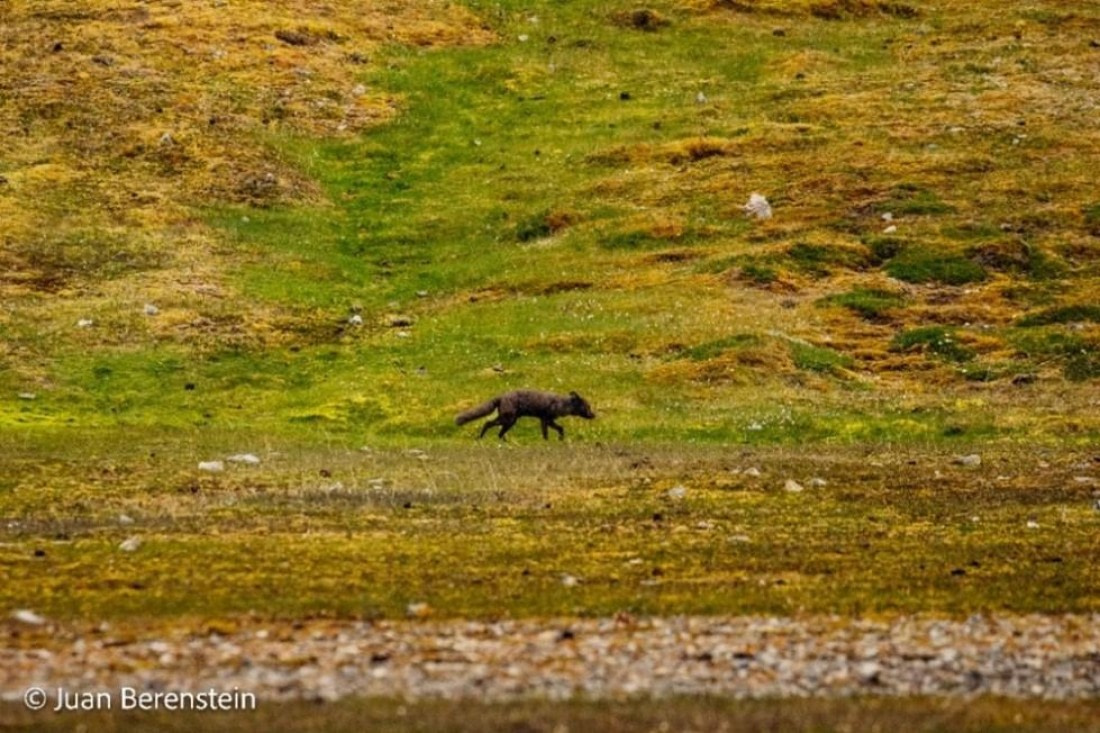 OTL05-24, Day 8, Picture22 © Juan Berenstein - Oceanwide Expeditions.jpg