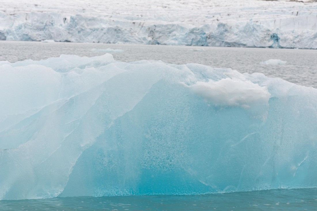 HDS06-24, Day 3, _DSC4280 © Unknown photographer - Oceanwide Expeditions.jpg