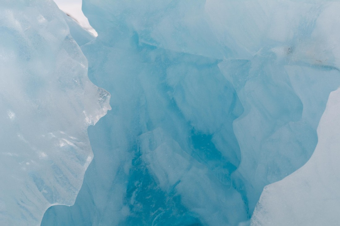 HDS06-24, Day 3, _DSC4304 © Unknown photographer - Oceanwide Expeditions.jpg