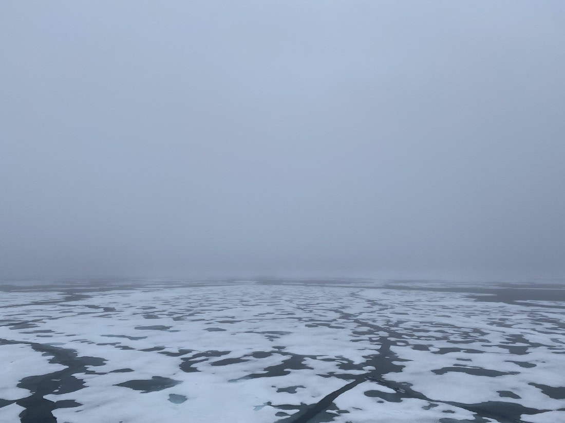 HDS06-24, Day 5, IMG_5461 © Unknown photographer - Oceanwide Expeditions.jpeg