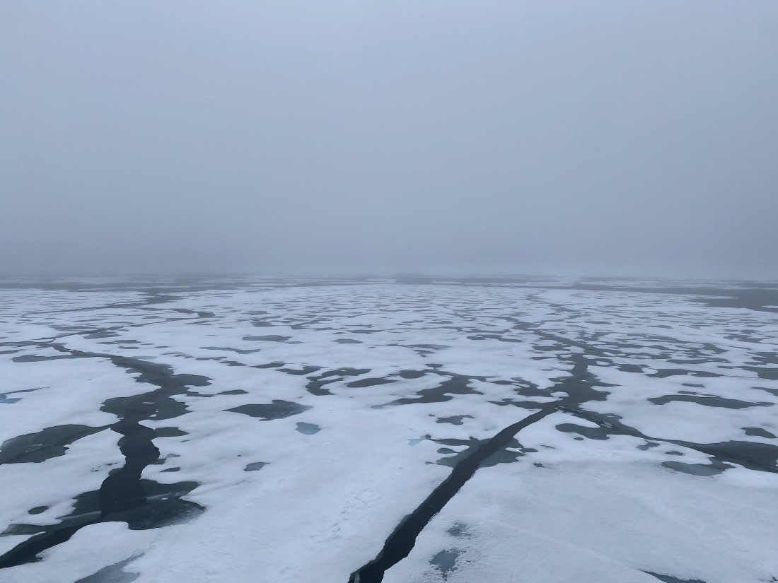 HDS06-24, Day 5, IMG_5462 © Unknown photographer - Oceanwide Expeditions.jpeg