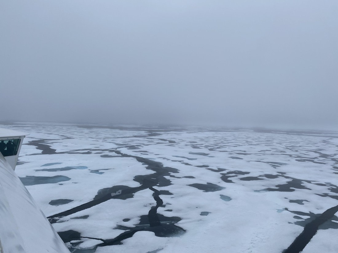 HDS06-24, Day 5, IMG_5463 © Unknown photographer - Oceanwide Expeditions.jpeg