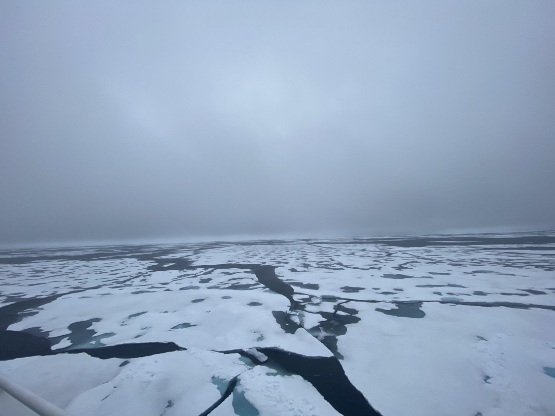 HDS06-24, Day 5, IMG_5466 © Unknown photographer - Oceanwide Expeditions.jpeg