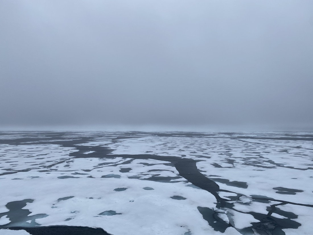 HDS06-24, Day 5, IMG_5467 © Unknown photographer - Oceanwide Expeditions.jpeg