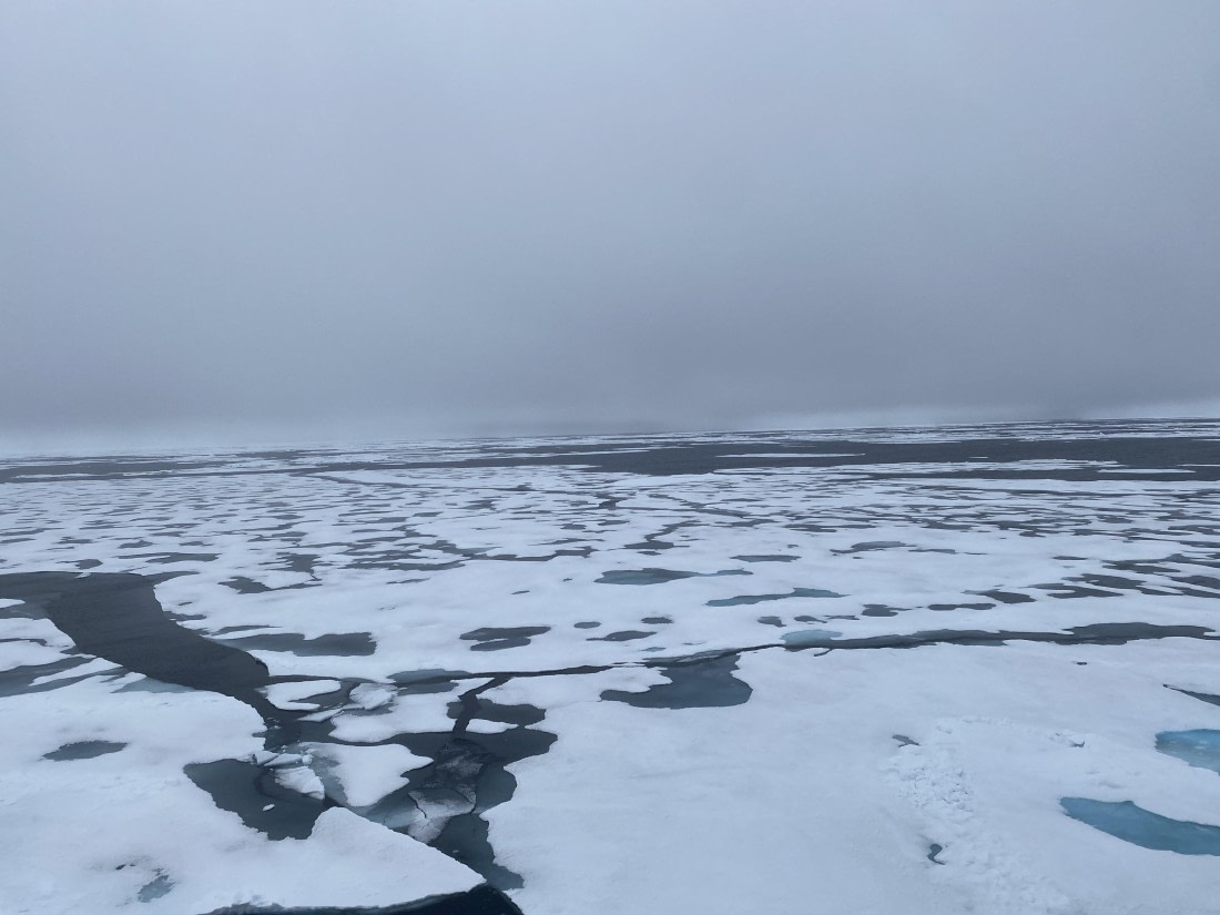 HDS06-24, Day 5, IMG_5468 © Unknown photographer - Oceanwide Expeditions.jpeg