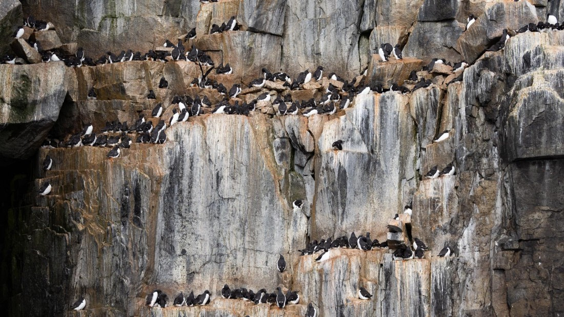 HDS06-24, Day 6, 4Q9A0805 © Katlyn Taylor - Oceanwide Expeditions.jpeg