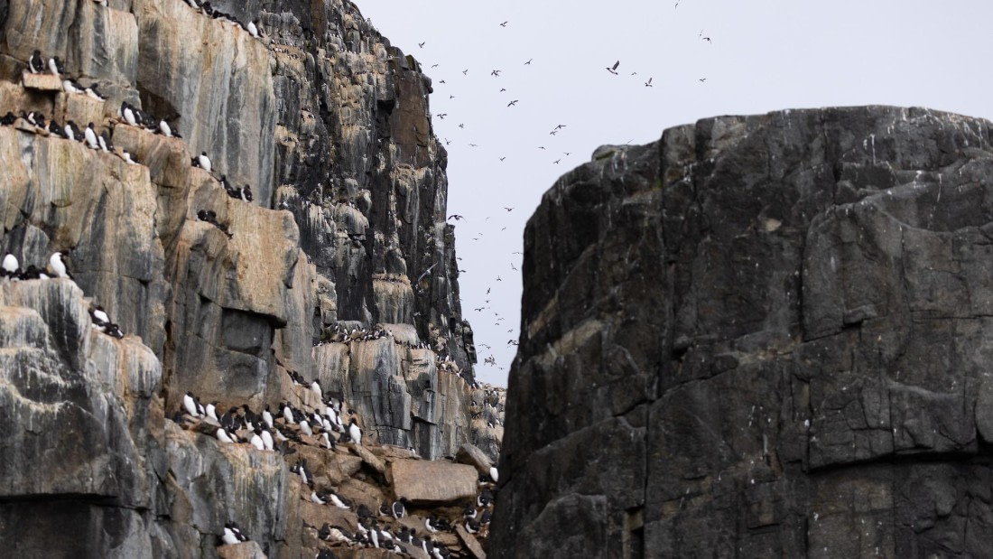 HDS06-24, Day 6, 4Q9A0808 © Katlyn Taylor - Oceanwide Expeditions.jpeg