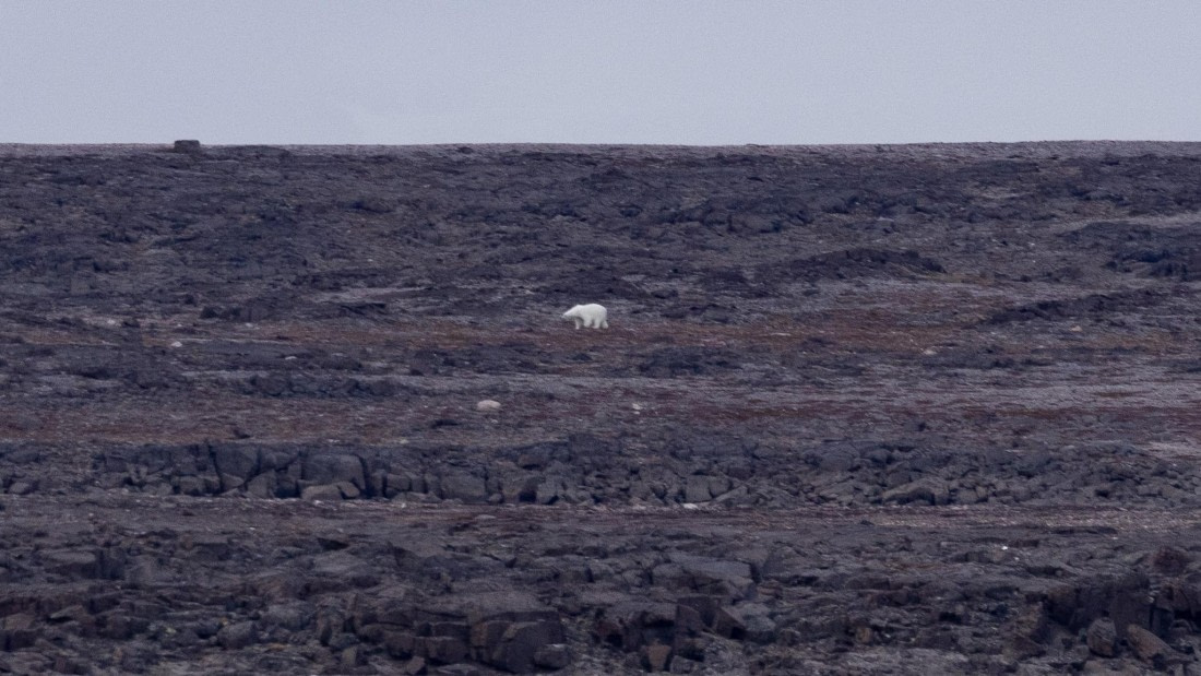 HDS06-24, Day 6, 4Q9A0970 © Katlyn Taylor - Oceanwide Expeditions.jpeg