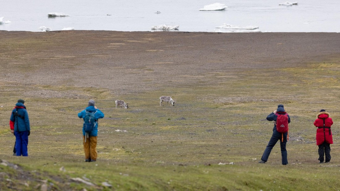 HDS06-24, Day 7, 4Q9A1330 © Katlyn Taylor - Oceanwide Expeditions.jpeg