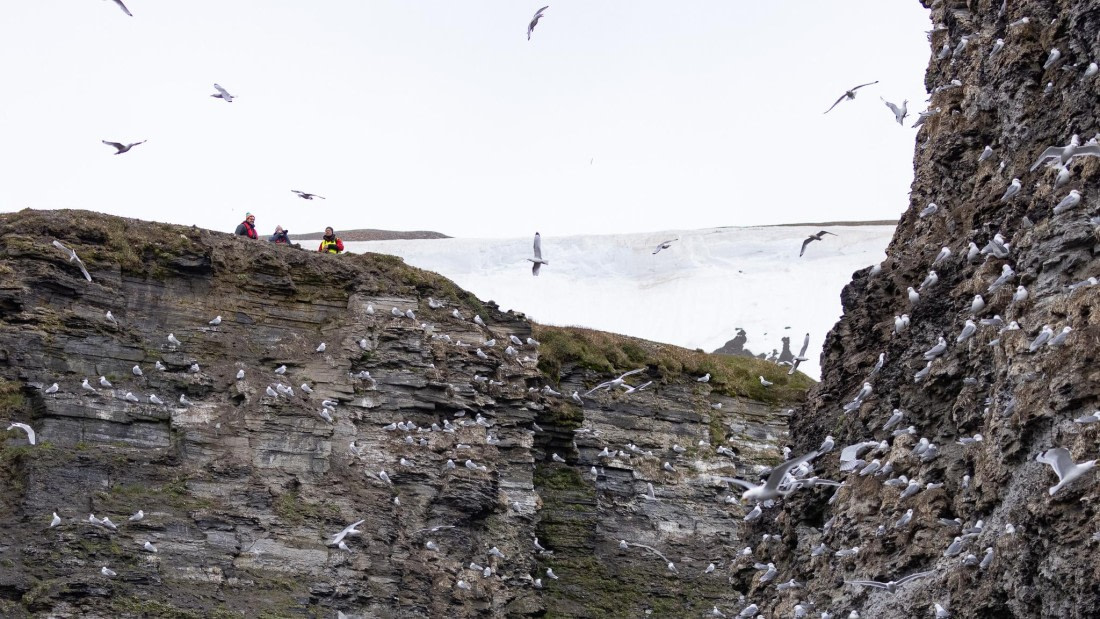 HDS06-24, Day 7, 4Q9A1372 © Katlyn Taylor - Oceanwide Expeditions.jpeg